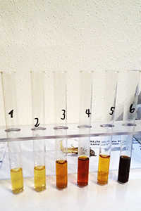 Traditionelle Harndiagnostik